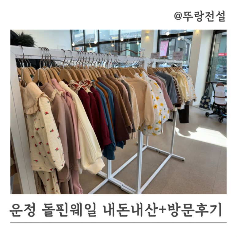 돌핀웨일 이미지