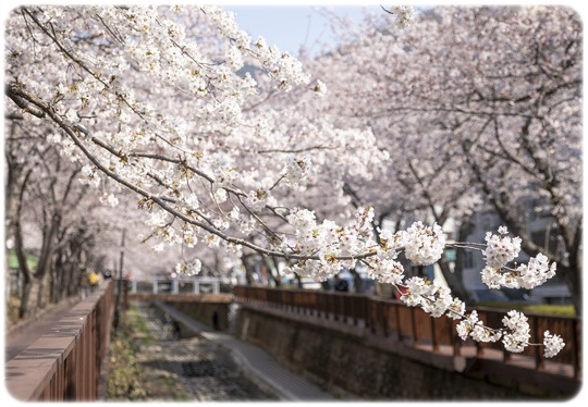 북부하나여행사 이미지
