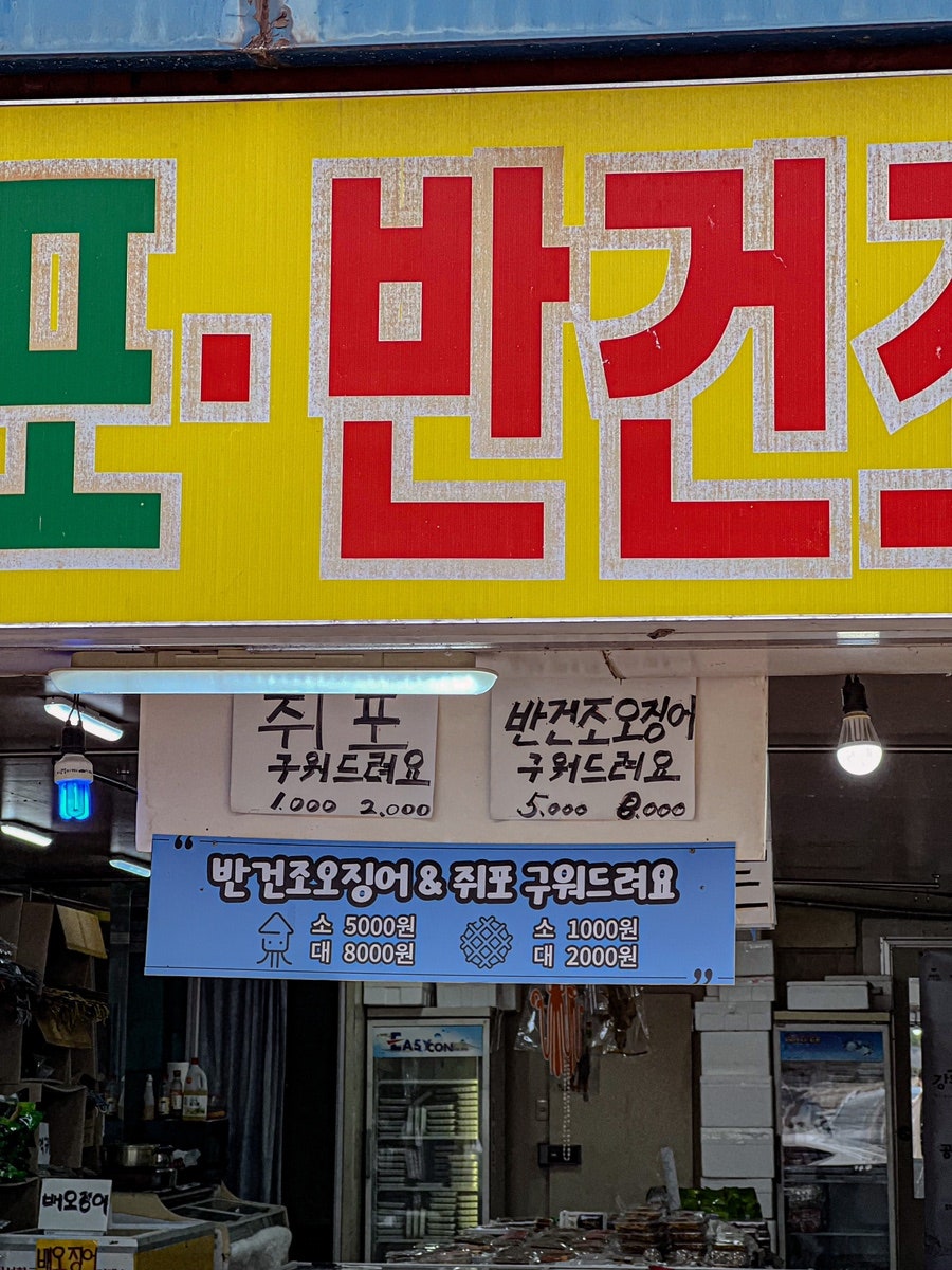 경포배오징어 이미지