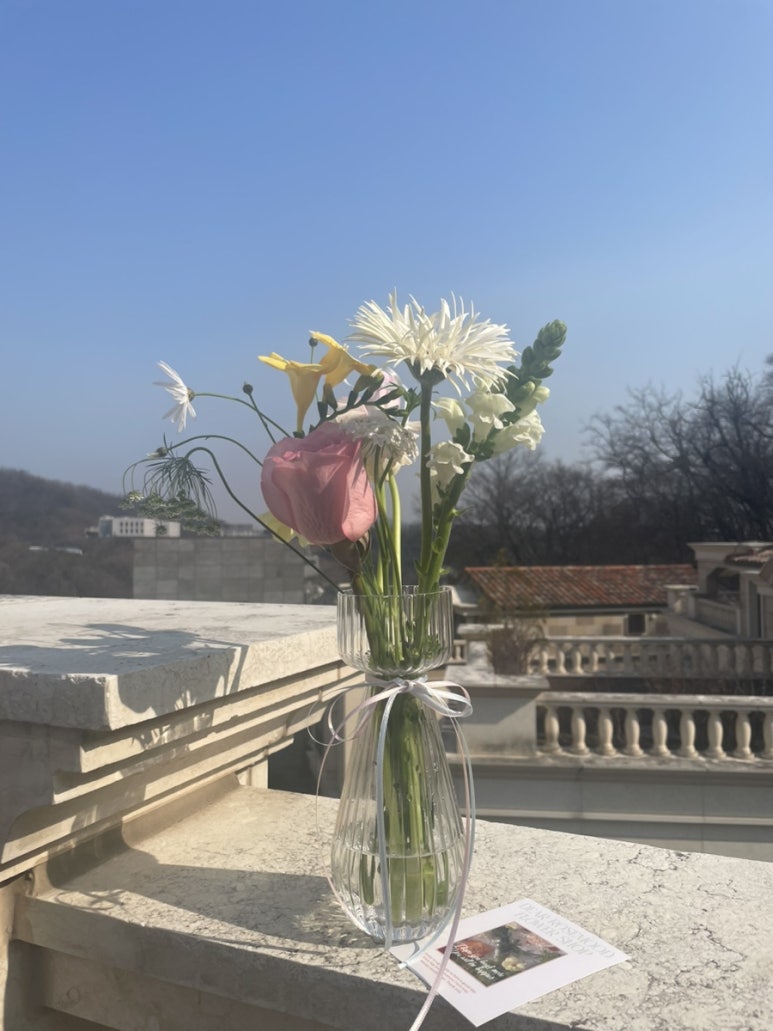 디어로즈무드 이미지