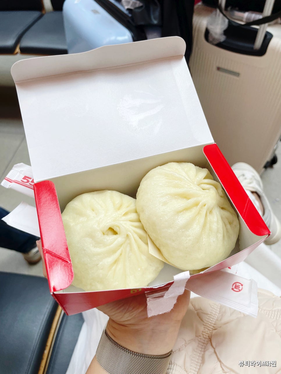라이온더 이미지