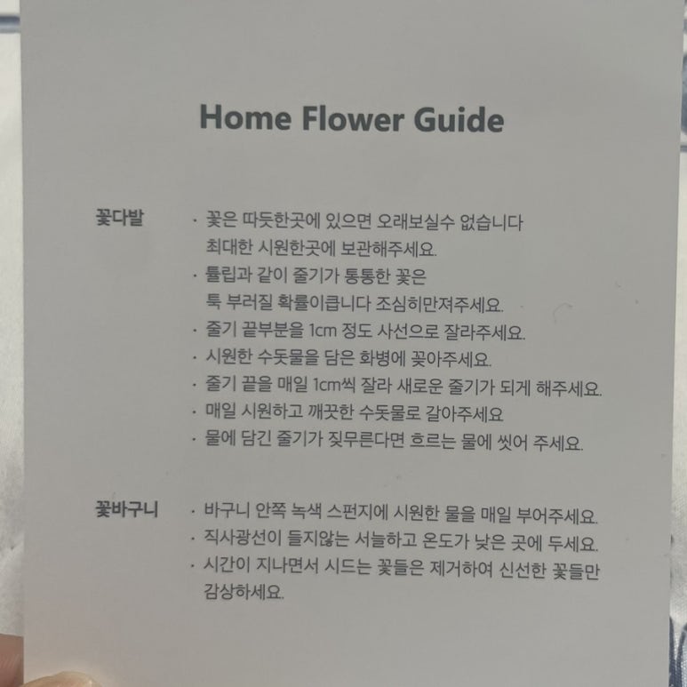 디어로즈무드 이미지