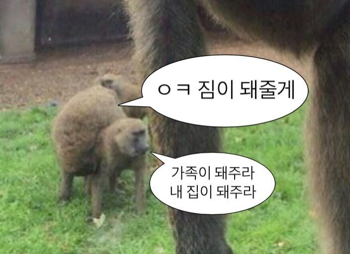 선희네포차 이미지