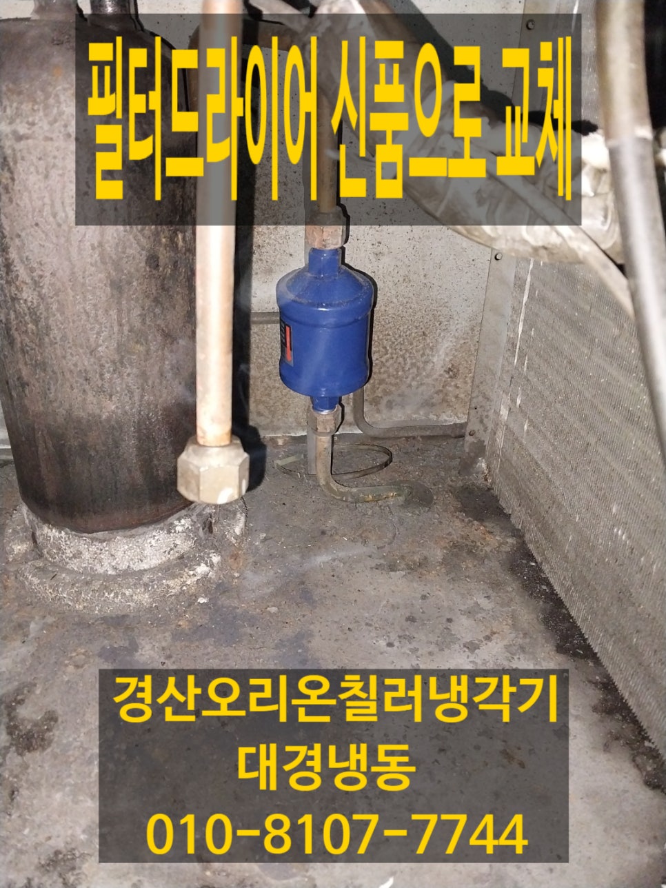 대경냉동 이미지
