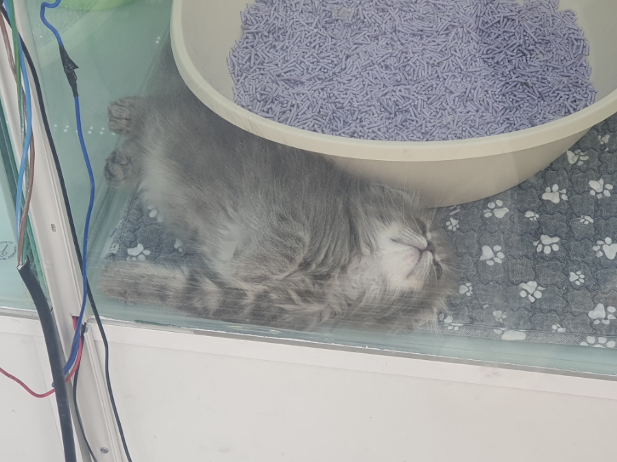 로꼬동전노래연습장 이미지
