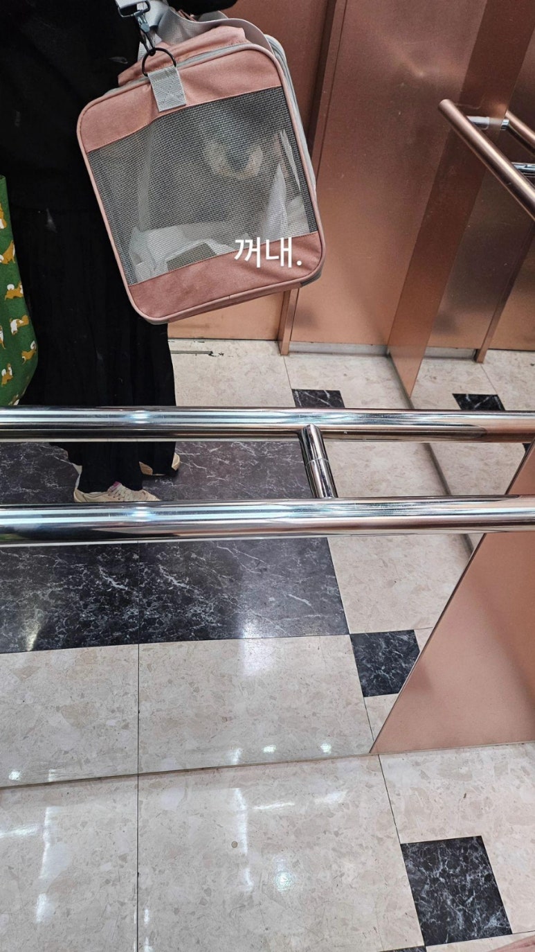 놀면뭐하개 이미지