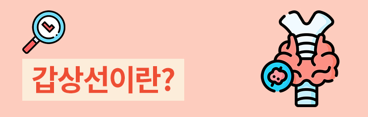 성모갑유정외과의원 이미지