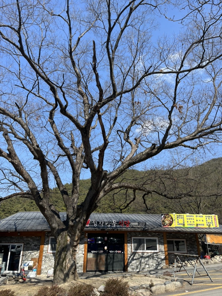 정자나무식당 이미지