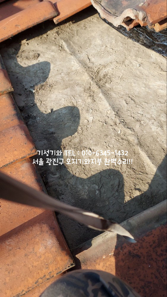기성기와 이미지