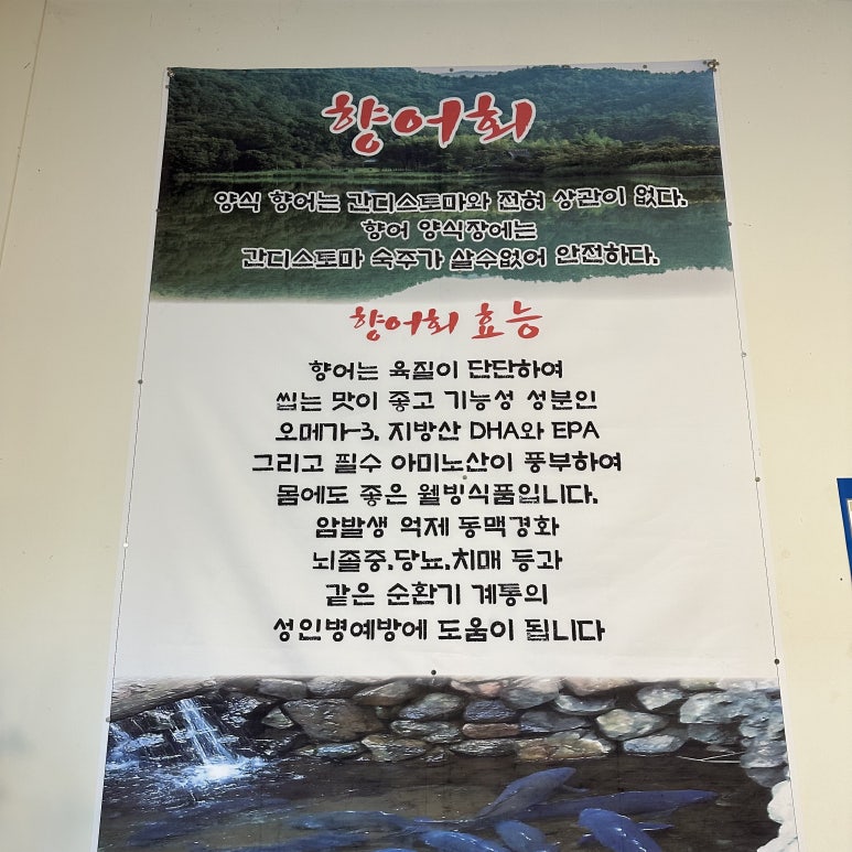 남지향어회 이미지