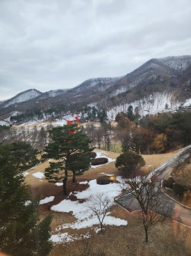 스키빌리지오락실 이미지