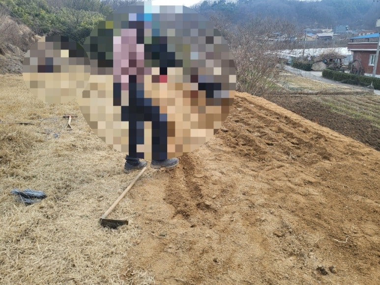 고인돌상조 이미지