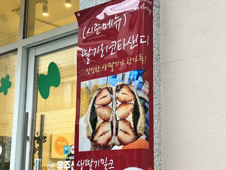 유주샌디 이미지