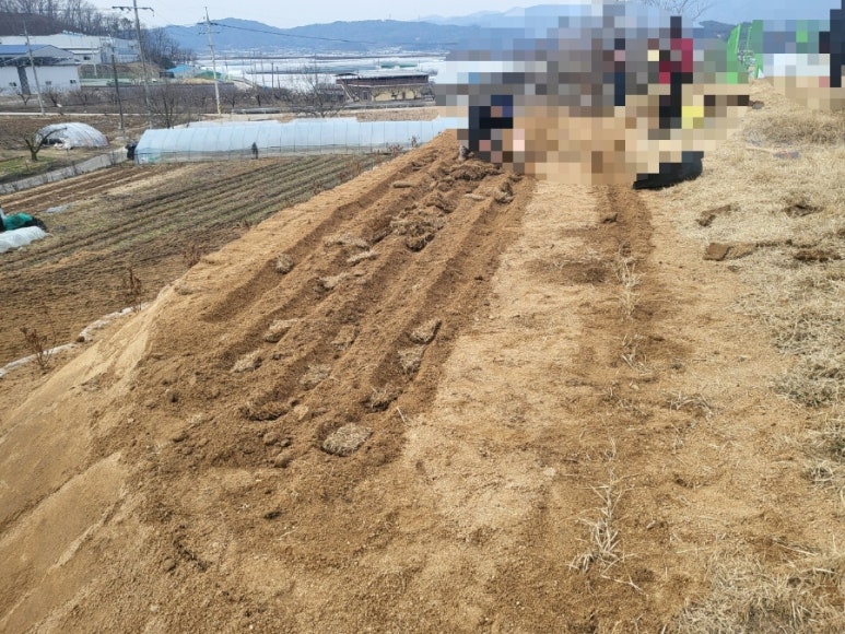고인돌상조 이미지