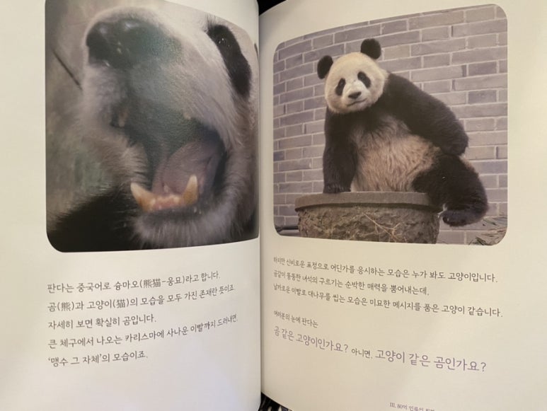 노마드블룸 이미지