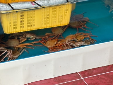 농수산물경성 이미지