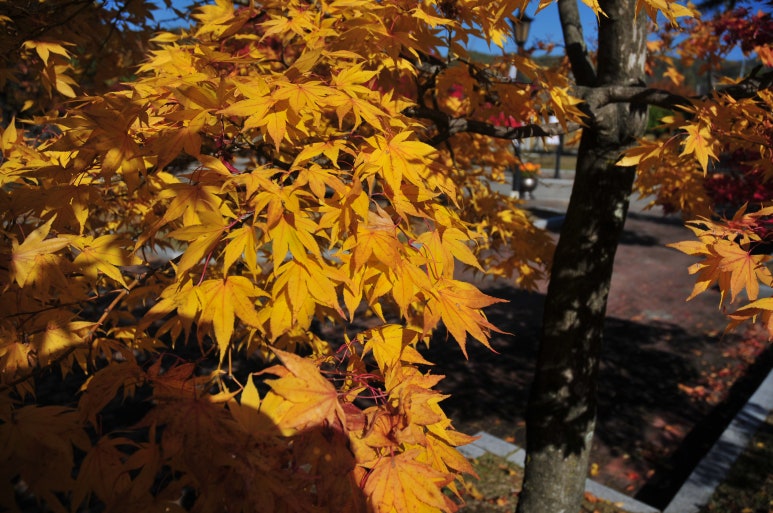 경호축산 이미지