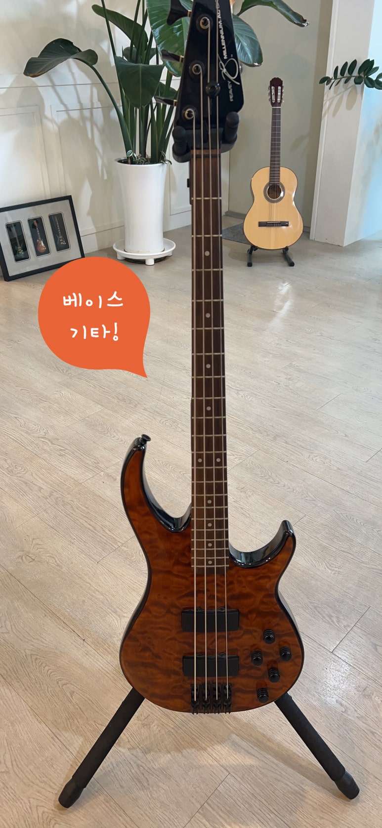 이지실용음악학원 이미지