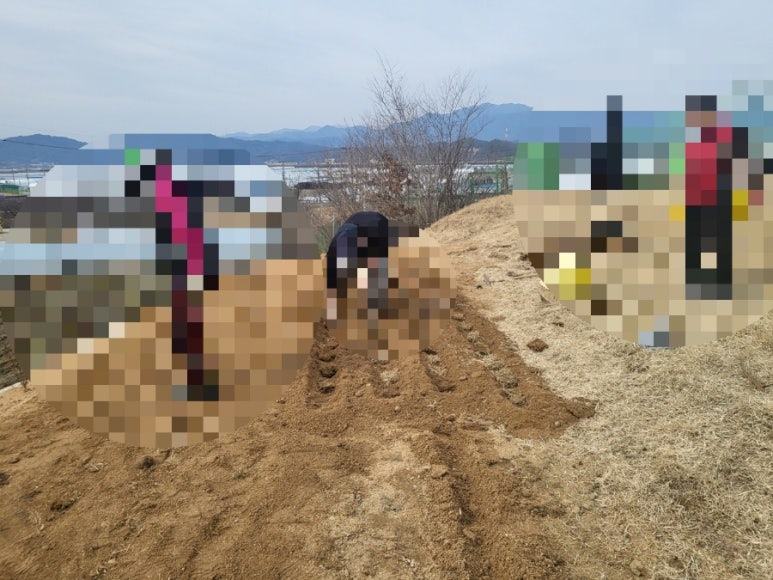 고인돌상조 이미지