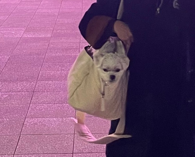 커넥트중앙 이미지