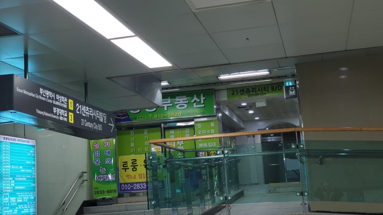별모아타로 이미지