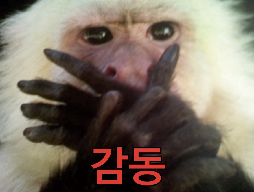 푸딩하우스 이미지
