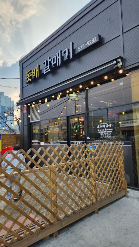 돗배갈매기 이미지