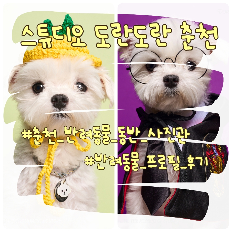 스튜디오도란도란 이미지