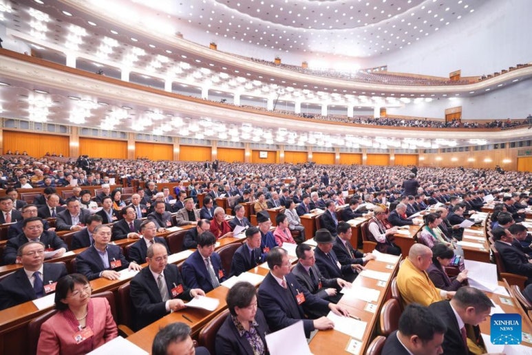 블랙벤자민 이미지