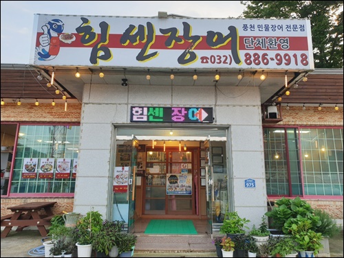 힘센민물장어 이미지