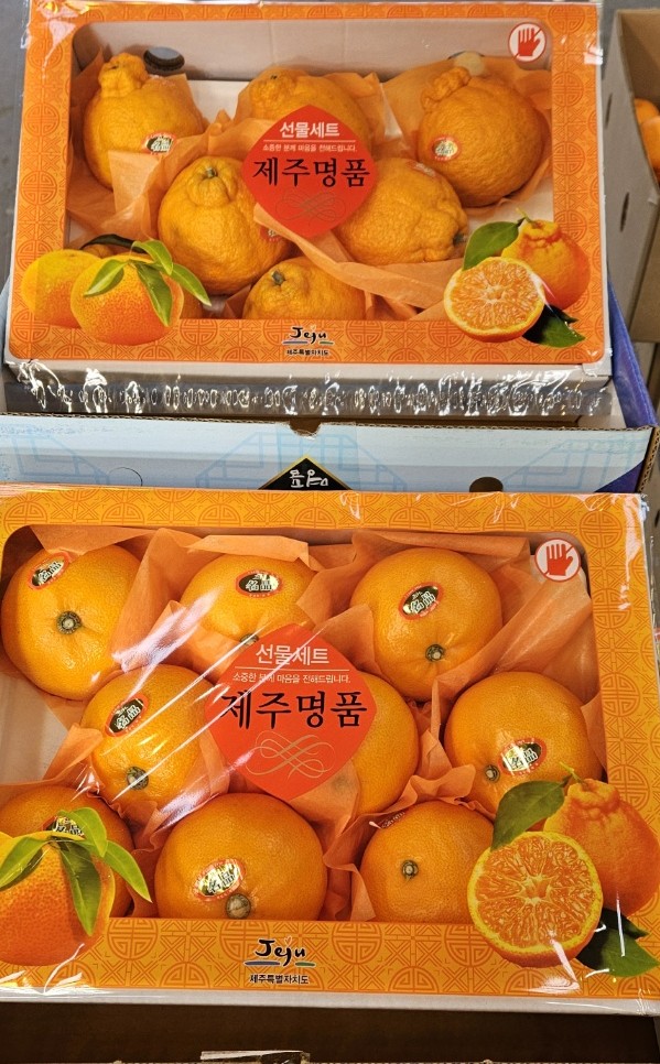 대풍상회 이미지