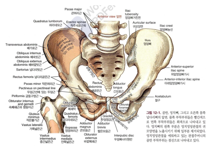 엠스케어 이미지