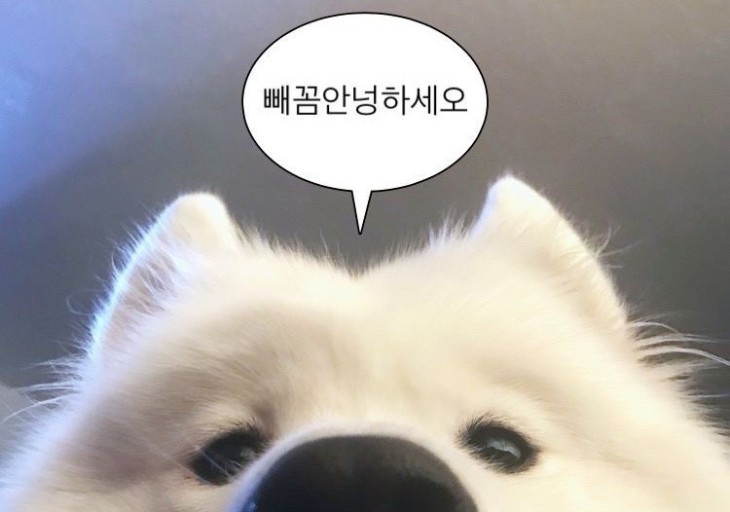 언니따라 이미지