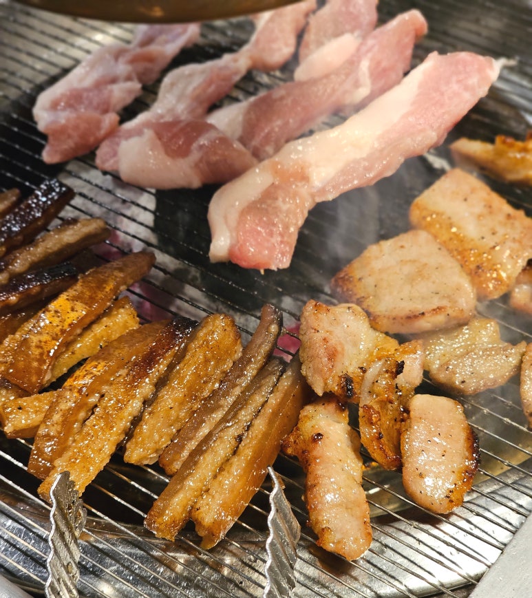 통고집거제 이미지