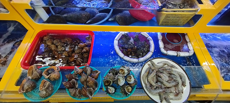 왕창수산 이미지
