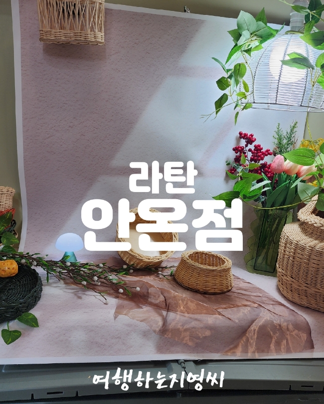 안온점 이미지