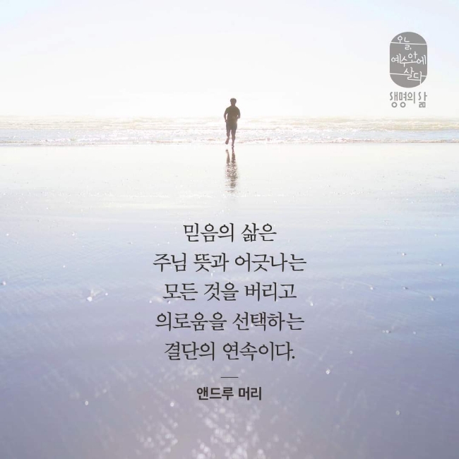 푸른감람나무 이미지