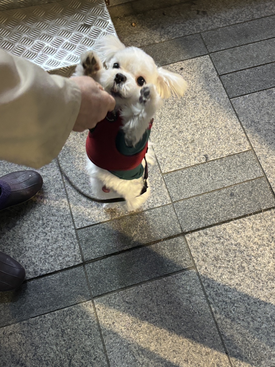 어웜 이미지