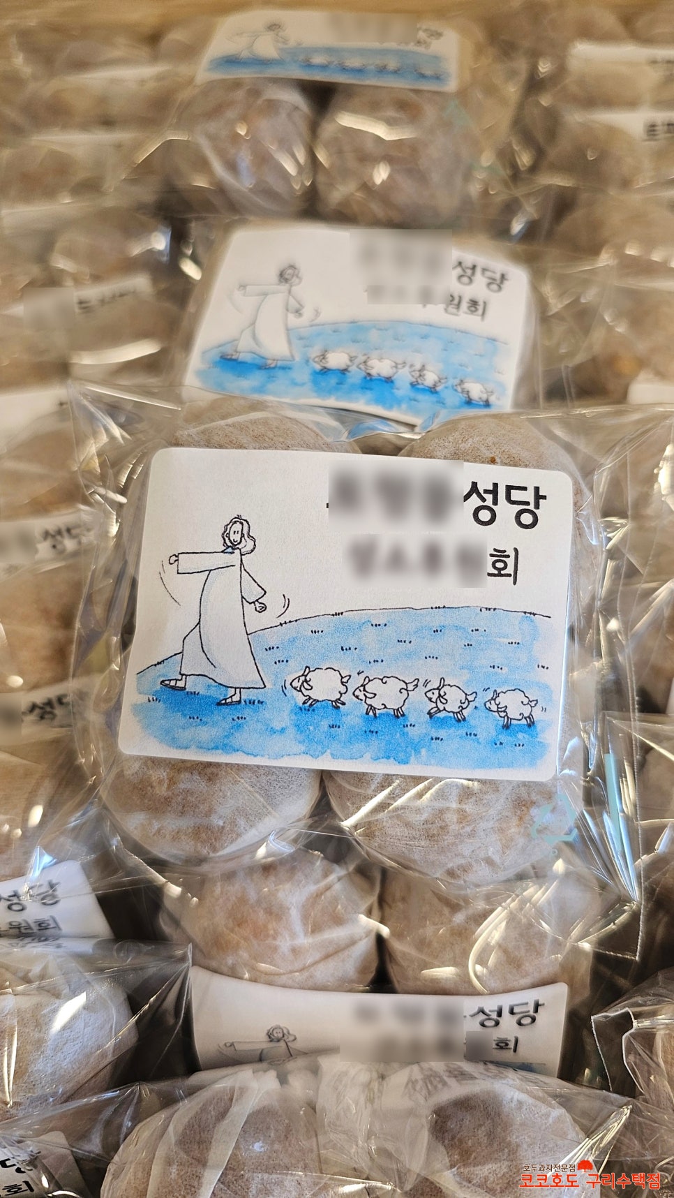 코코호도구리 이미지