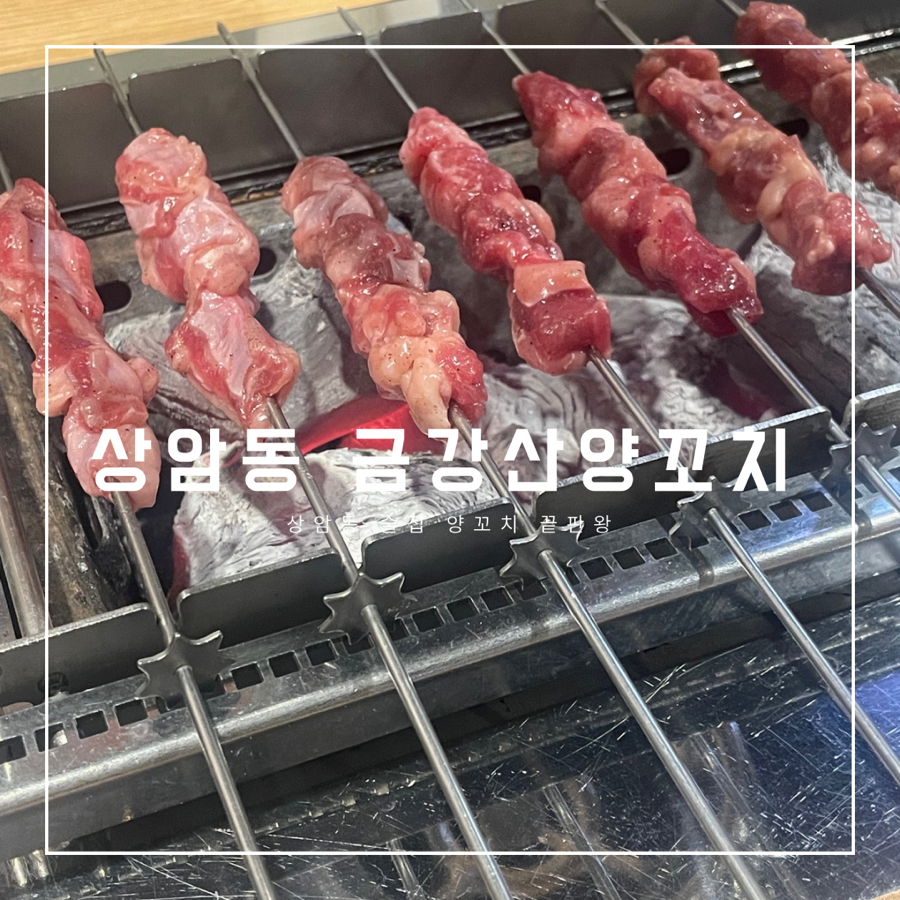 금강산양꼬치 이미지