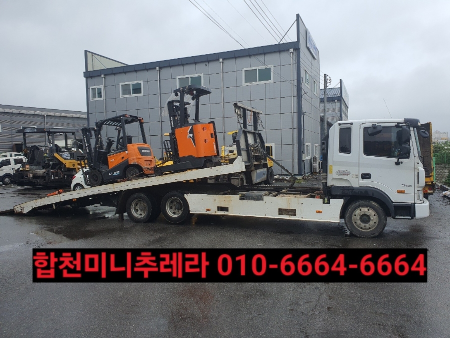 합천추레라 이미지