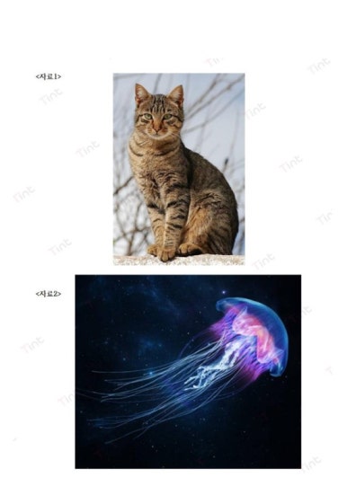 필미술 이미지