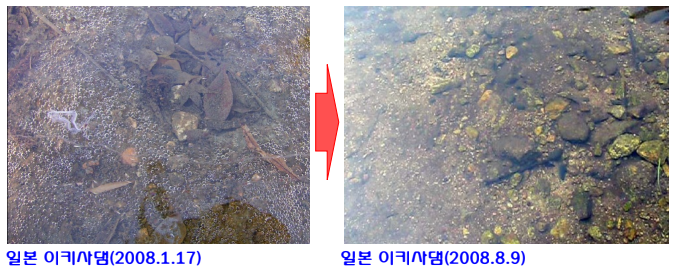 주식회사 브릿지코리아 이미지