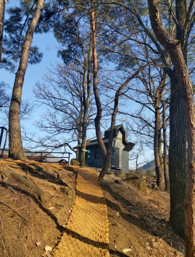 천상제일교회 이미지