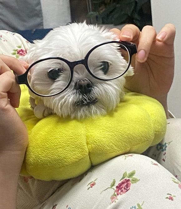 아이러브나영 이미지