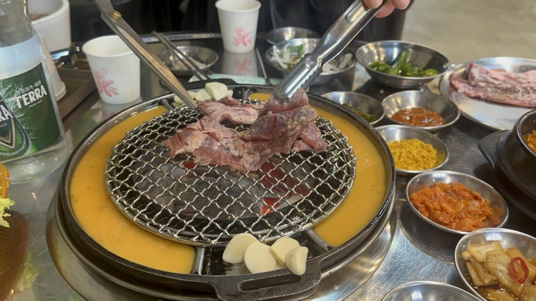 돗배갈매기 이미지