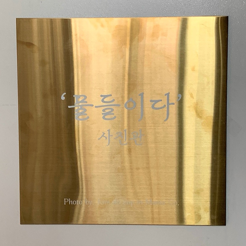 물들이다사진관 이미지