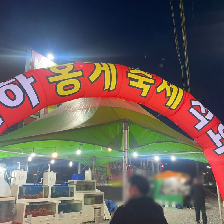 불나리 이미지