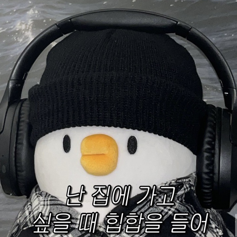 더오리 이미지