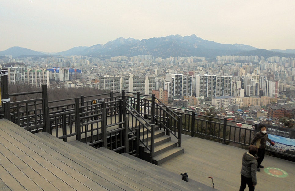 정편백 이미지